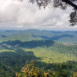 GunungPanti